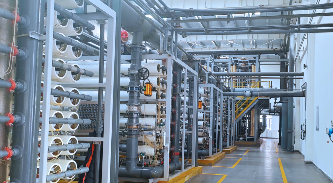 ͷ | 2023ͬ245.97% - 415.92%ҵͻ